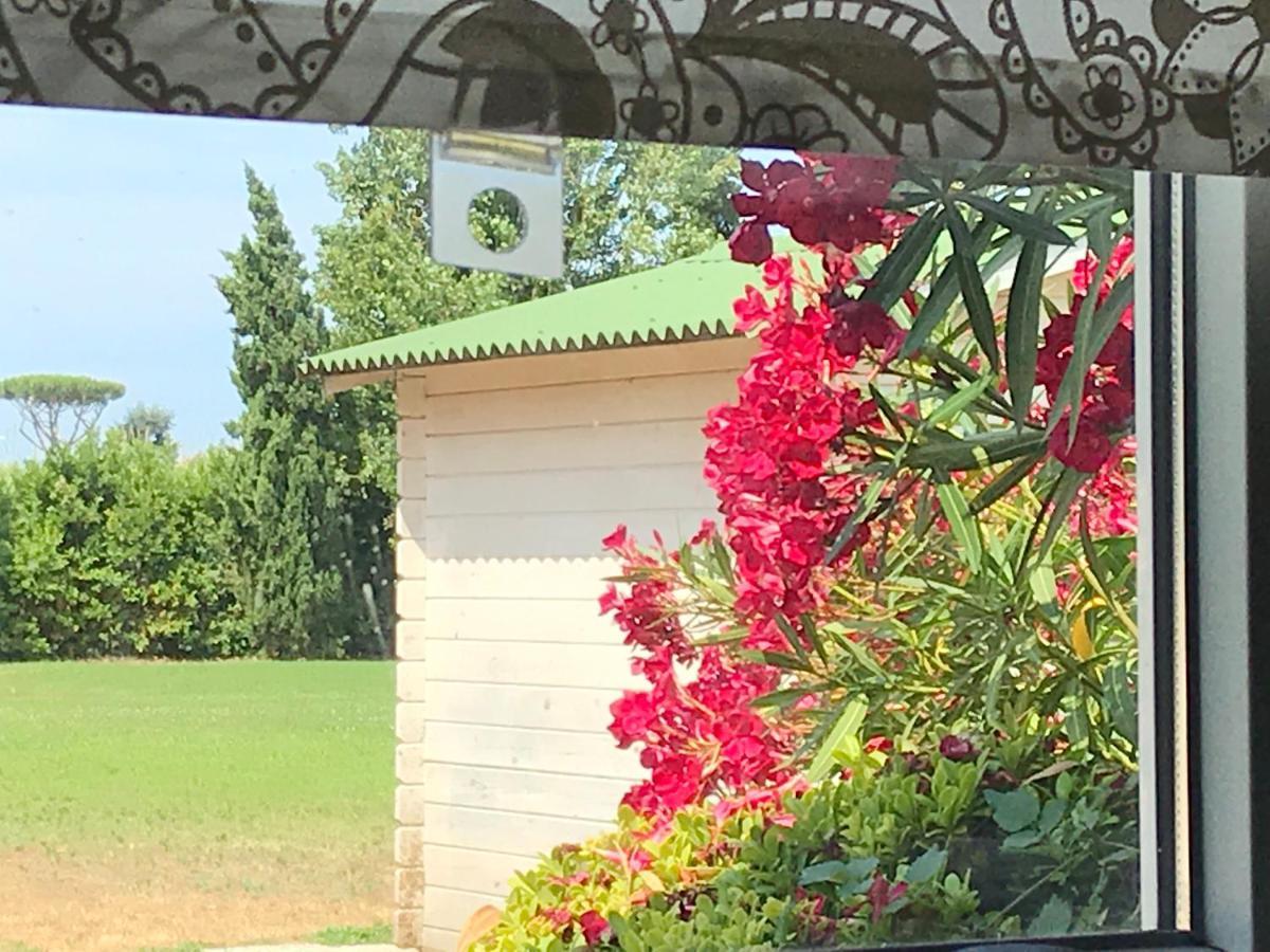 Podere Venanzio Lido di Camaiore Eksteriør bilde