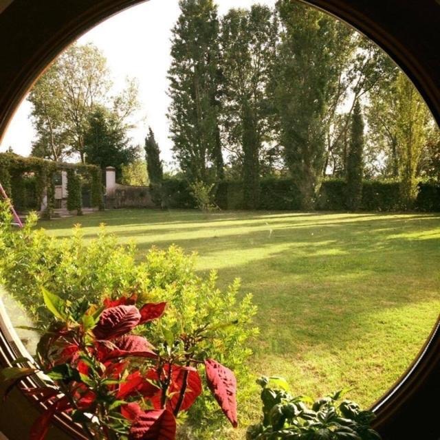 Podere Venanzio Lido di Camaiore Eksteriør bilde